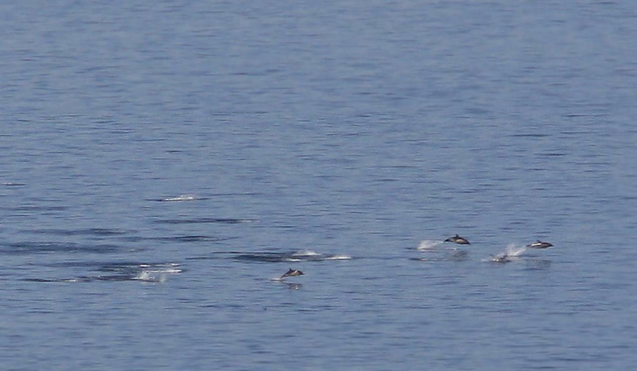 Shiskine Gairloch Eksteriør billede